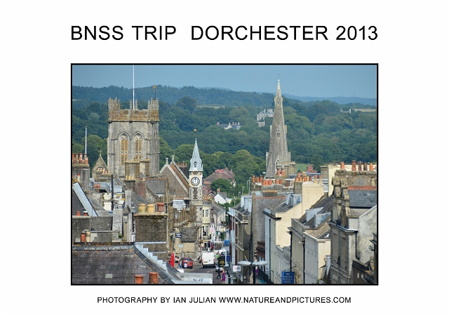 horiz 7_edited-2.jpg - DORCHESTER HIGH STREET FROM THE KEEP - 23.7.13
